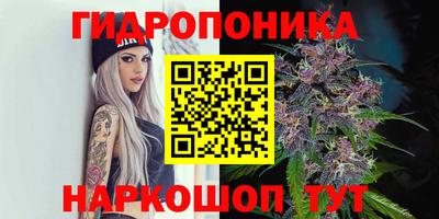 не бодяженный Владимир