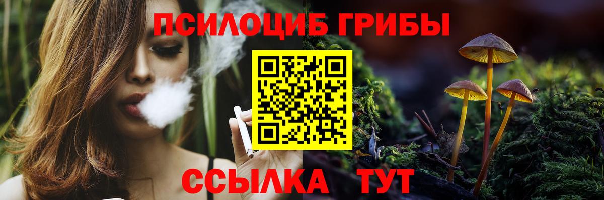 Тимашёвск  купить   Вход с VPN  Галлюциногенные грибы Cubensis  Галлюциногенные грибы MAGIC MUSHROOMS 